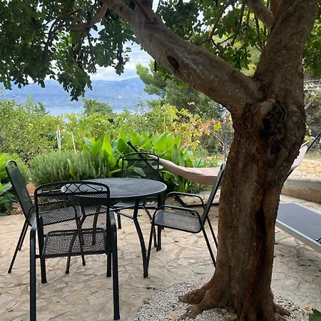 Stella 斯普利特卡